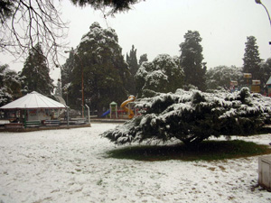 nieve-008.jpg - 67823 Bytes