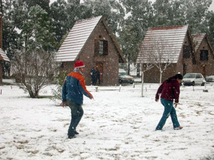 nieve-010.jpg - 73093 Bytes