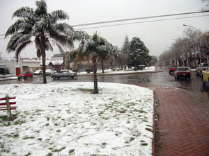 nieve-012.jpg - 67619 Bytes