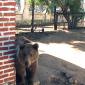 Zoologico