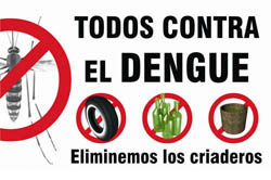 contra-el-dengue-210909 (42k image)