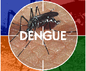 dengue_291009 (48k image)