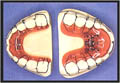 ortopedia_dental (20k image)