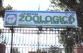 zoologico_251105 (28k image)