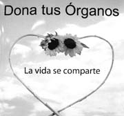 donar_organos (11k image)