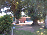 DSC00014_vista5-zoo.jpg - 23075 Bytes