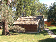 DSC00021_museo-zoo.jpg - 26276 Bytes