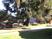 DSC00022_vista3-zoo.jpg - 26744 Bytes