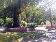 DSC00024_vista-zoo.jpg - 26449 Bytes